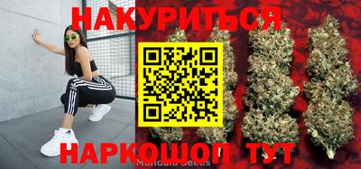 сатива Балаково