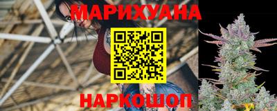 сатива Балаково
