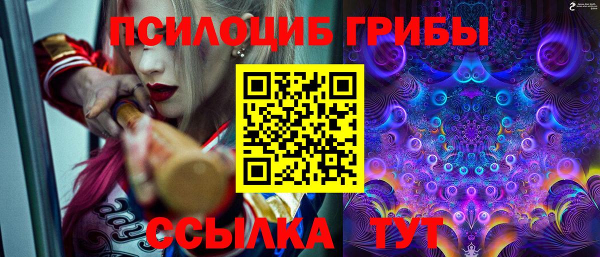 Артёмовский  Псилоцибиновые грибы GOLDEN TEACHER  как найти   Псилоцибиновые грибы GOLDEN TEACHER  Вход с VPN 